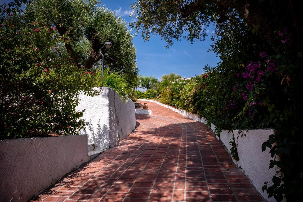 B&B Casabianca Palinuro Exteriér fotografie