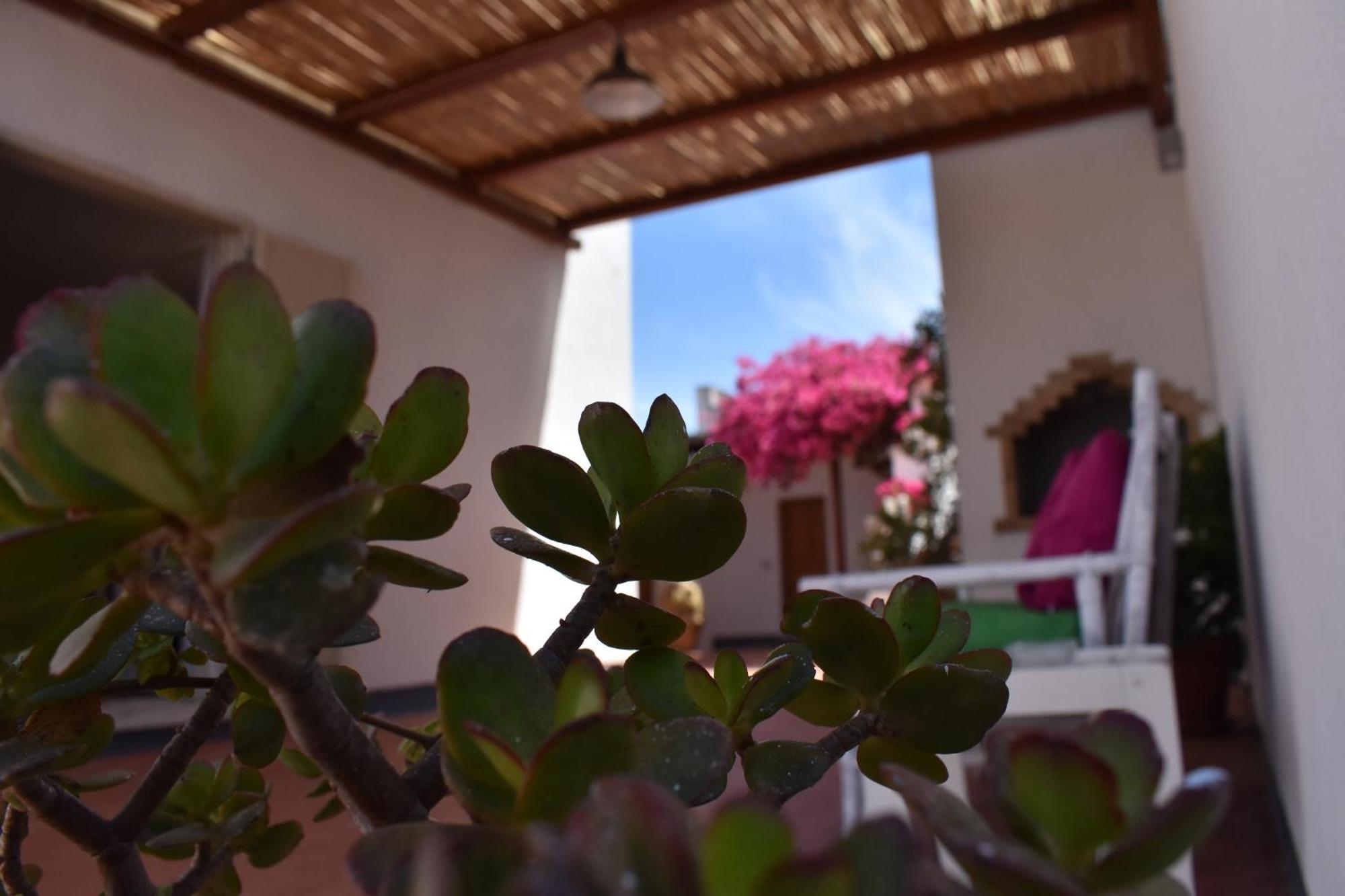 B&B Casabianca Palinuro Exteriér fotografie