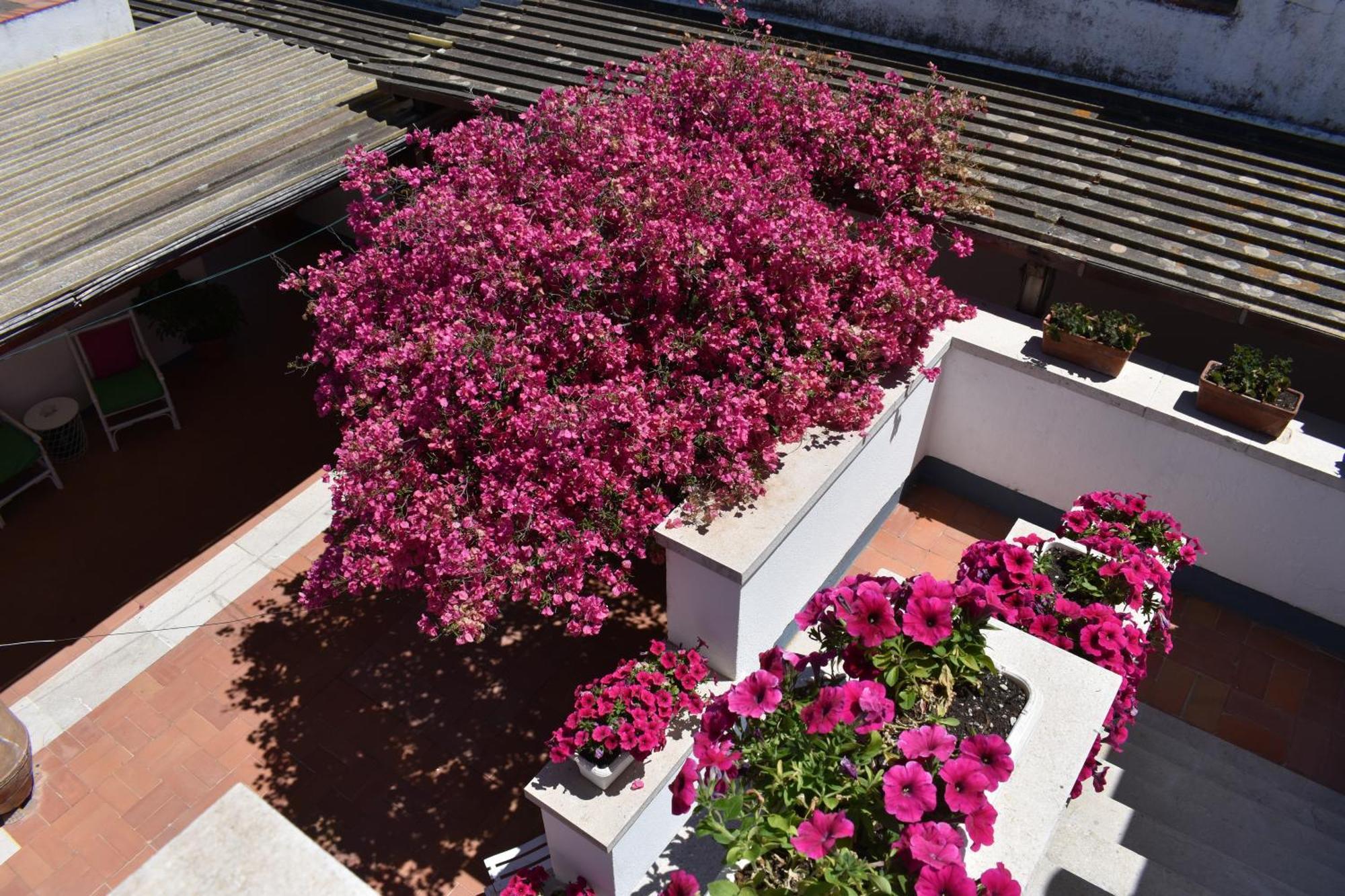 B&B Casabianca Palinuro Exteriér fotografie