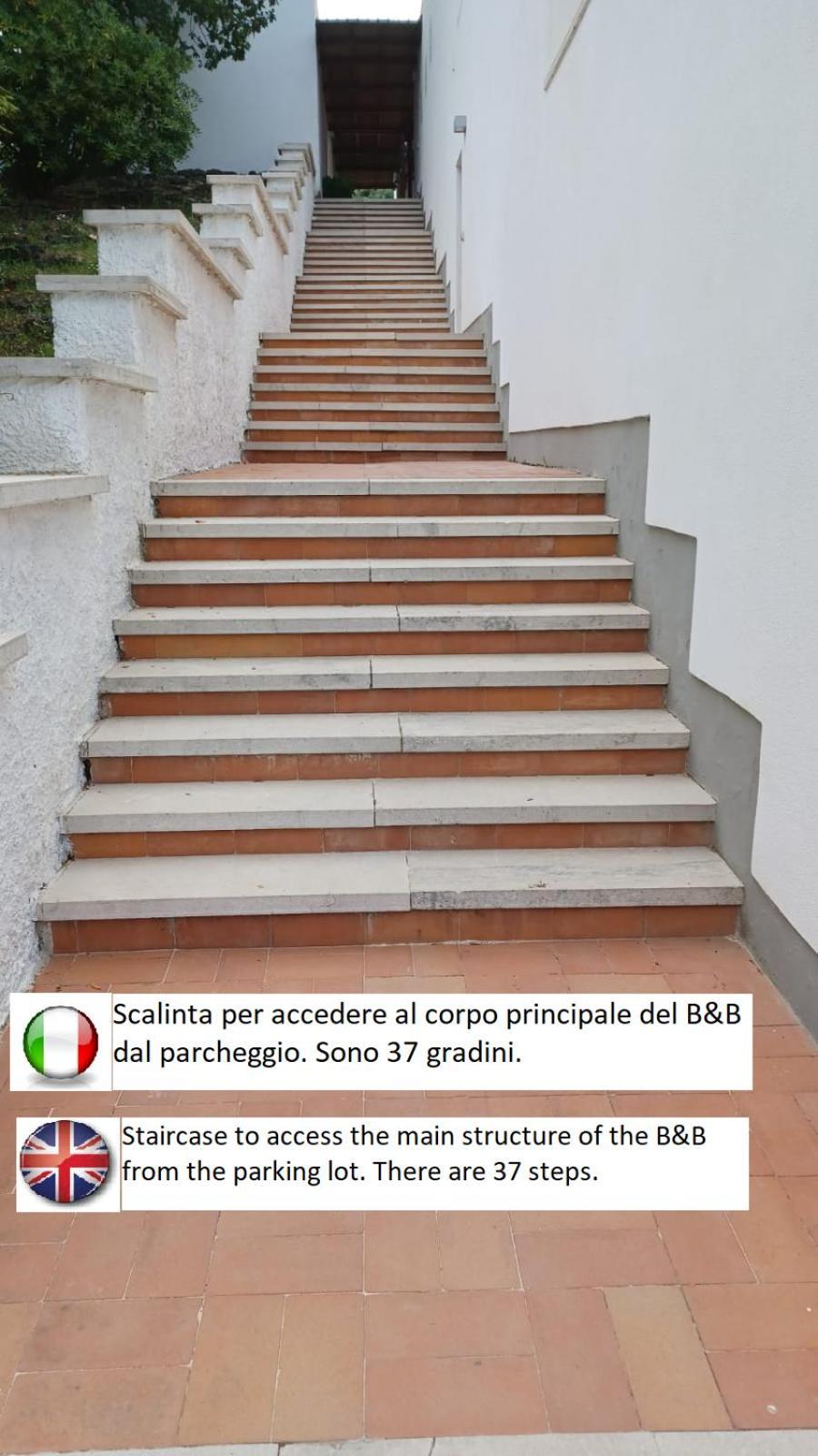 B&B Casabianca Palinuro Exteriér fotografie